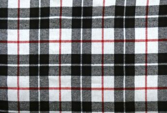 Bearsden Brushed Cotton Check