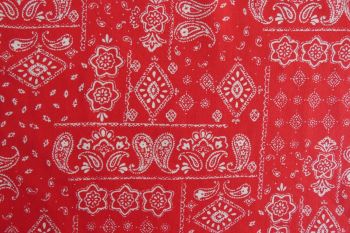 Deadstock 100% Cotton Poplin Digital Paisley/Diamond Print - Red