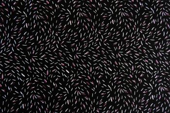 Deadstock 100% Viscose Digital Sprinkle Print - Black/Cerise